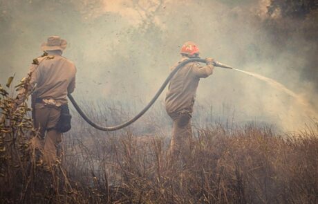 Wildfire Smoke in Spain: Health Risks and How to Protect Yourself