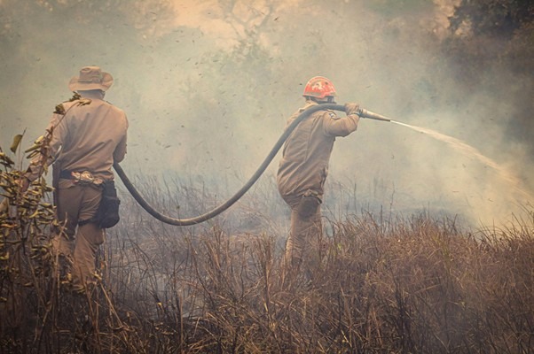 Wildfire Smoke in Spain: Health Risks and How to Protect Yourself
